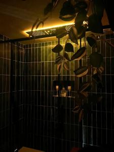 L Indiana douche sensorielle