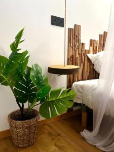 Appartements L Indiana douche sensorielle : photos des chambres