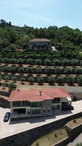 Casa das Oliveiras, o Douro no seu esplendor!