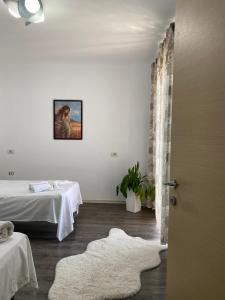 MAin Apartment