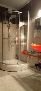 Luxury apartment SIRENA Centre Netflix