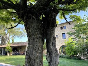 B&B / Chambres d'hotes Le Mas AIgaliers Uzes : photos des chambres