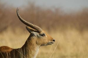Ngulu Island Sanctuary