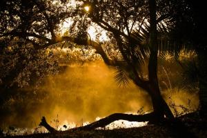 Ngulu Island Sanctuary