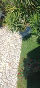 ZOGRAFOS SPIROS Rooms