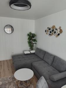 Apartament shel
