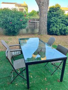 Villas Magnifique appartement dans villa renovee de 45m2 : Villa 1 Chambre