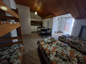 Hostel Valentin