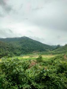 Local Adventure Laos