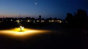 Tiny Haus C235 Wacholderdrossel