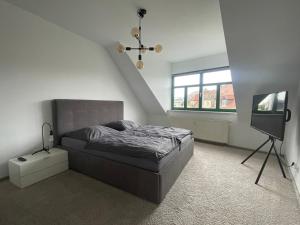 Zentrales hochwertiges Apartment Thomasius