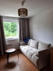 Apartamenty Młyn