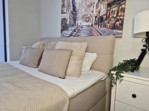 Central Belgrade Apartments BW