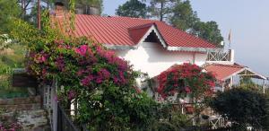 Majestic View & Misty Morning