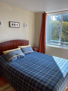 Bahia Pelicanos Caleta Horcon