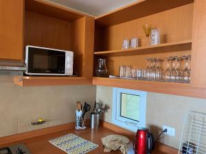 Bahia Pelicanos Caleta Horcon