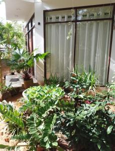 Sudunelum Holiday Resort