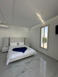 Villa Alyah