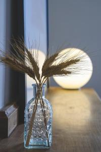 Appartements Gite Urbain clim et terrasse : photos des chambres