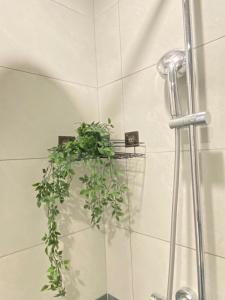 Căn hộ Master có sofa giường view sông Đồng Nai