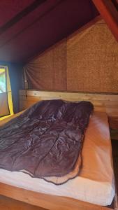 Campings Camping LA SERRE : Tente