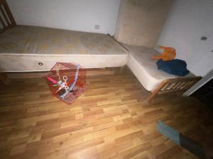 RAMiS Guest House- AlArab Club 777