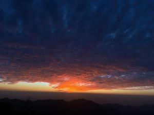 Pine Forest Vibes Kasauli With Sitting Area Availbale & Garden Space, 1BHK,2BHK,3BHK,4BHK,10BHK