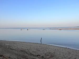 Campings Le Spot Saint-Trojan : photos des chambres