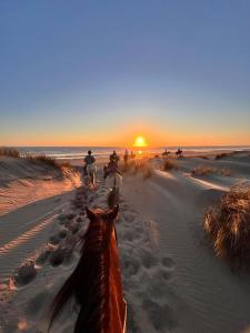 Campings Le Spot Saint-Trojan : photos des chambres