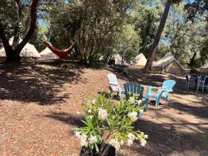 Campings Le Spot Saint-Trojan : photos des chambres