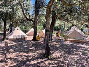 Campings Le Spot Saint-Trojan : photos des chambres