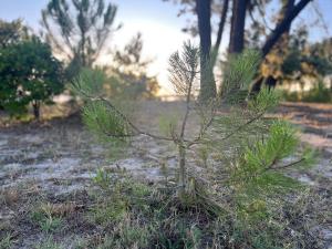 La parenthèse au pied du lac
