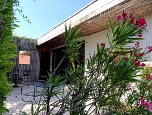 B&B / Chambres d'hotes Chambres d'hotes La Tribu : photos des chambres