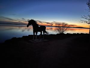Maisons de vacances La parenthese au pied du lac : photos des chambres