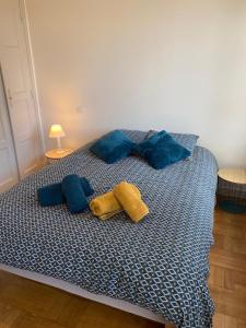 Appartements Superbe appartement F2 refait a neuf plein centre : Appartement 1 Chambre