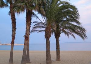 Charmant T1 climatisé avec Terrasse & Accès Piscine