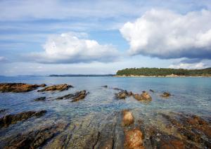 Charmant T1 climatisé avec Terrasse & Accès Piscine
