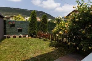 Double Room with Patio room in La Piazza Hotel
