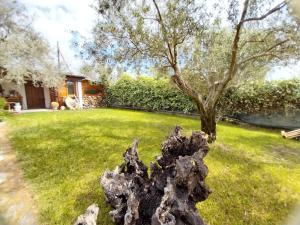 Nura's - Casa Marina img2