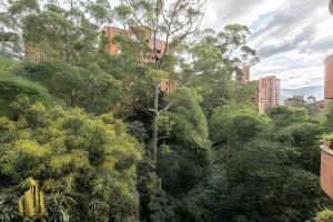 Caracolí 301 - Donde el Estilo Grita Libertad