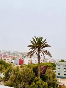 Dar Itran with Garden Terrace