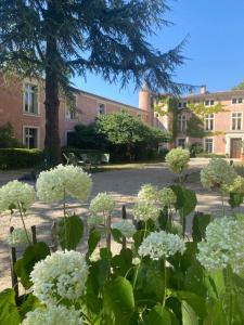 B&B / Chambres d'hotes Chateau d Artigues en Provence : photos des chambres