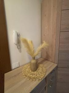 1 room apartment in Statybininku pr.