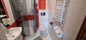 Willa na Olczańskim Wierchu