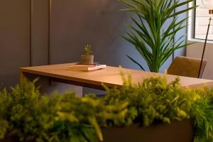 Condado 204 - Eco AptNatural Atmosphere