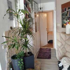 Cosy apartman Split - in green area