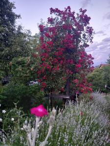 Dom gościnny u Krupów