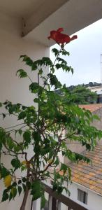 Clin dŒil chez moi !