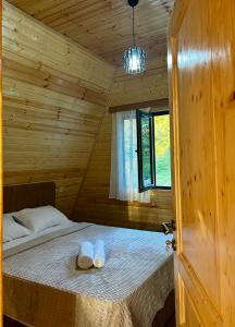 Panorama cottage Martvili