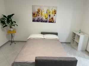 La pigna delle Aci Apartment